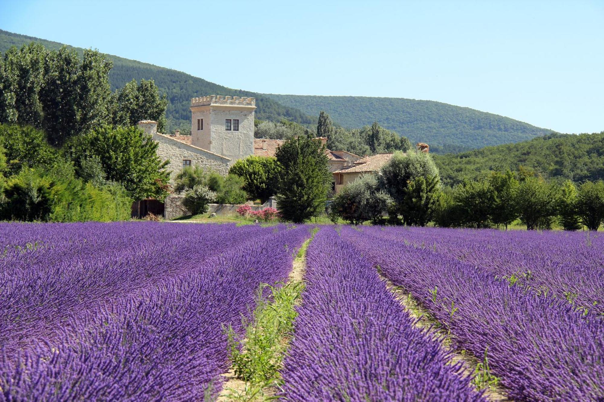 La Colombiere - Vue Imprenable Sur L'Ardeche - Tres Calme - Tres Bien Situe - Residence Privee Montélimar Екстериор снимка